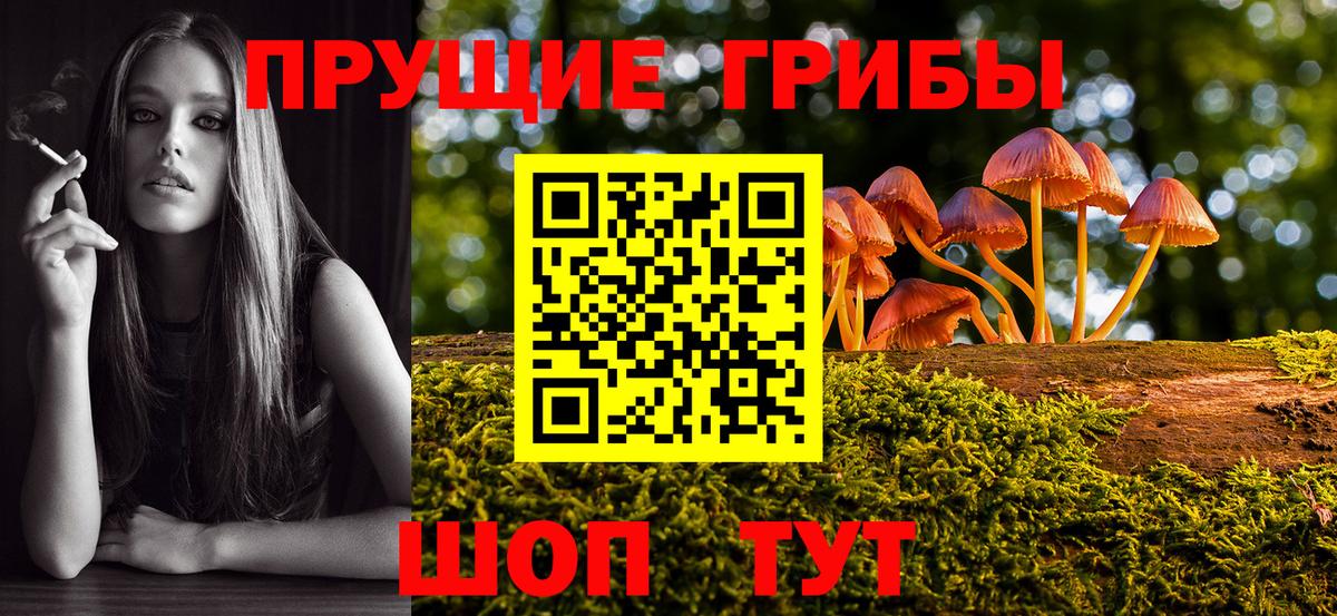 Галлюциногенные грибы ЛСД  Вход с VPN  Полевской 